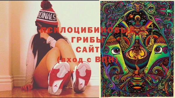 2c-b Бугульма